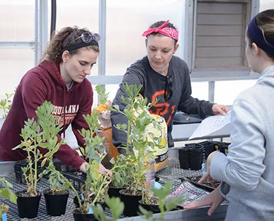 Three individuals work in a greenhouse, tending to potted plants on a metal table. They are focused on planting and organizing, with bags of soil and gardening tools nearby.