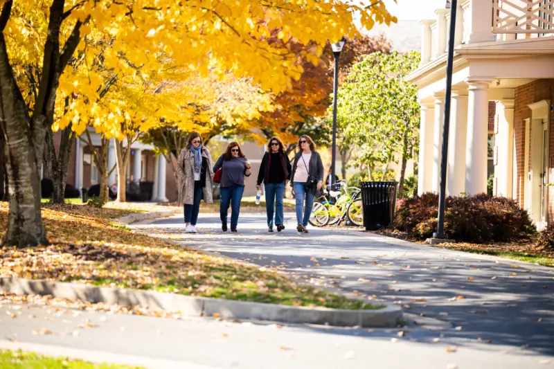 Four people stroll along a tree-lined path adorned with yellow autumn leaves. Engaged in conversation and smiles, they embody a relaxed vibe. Nearby bicycles rest as resources of convenience, while a building with stately columns stands elegantly to the right.