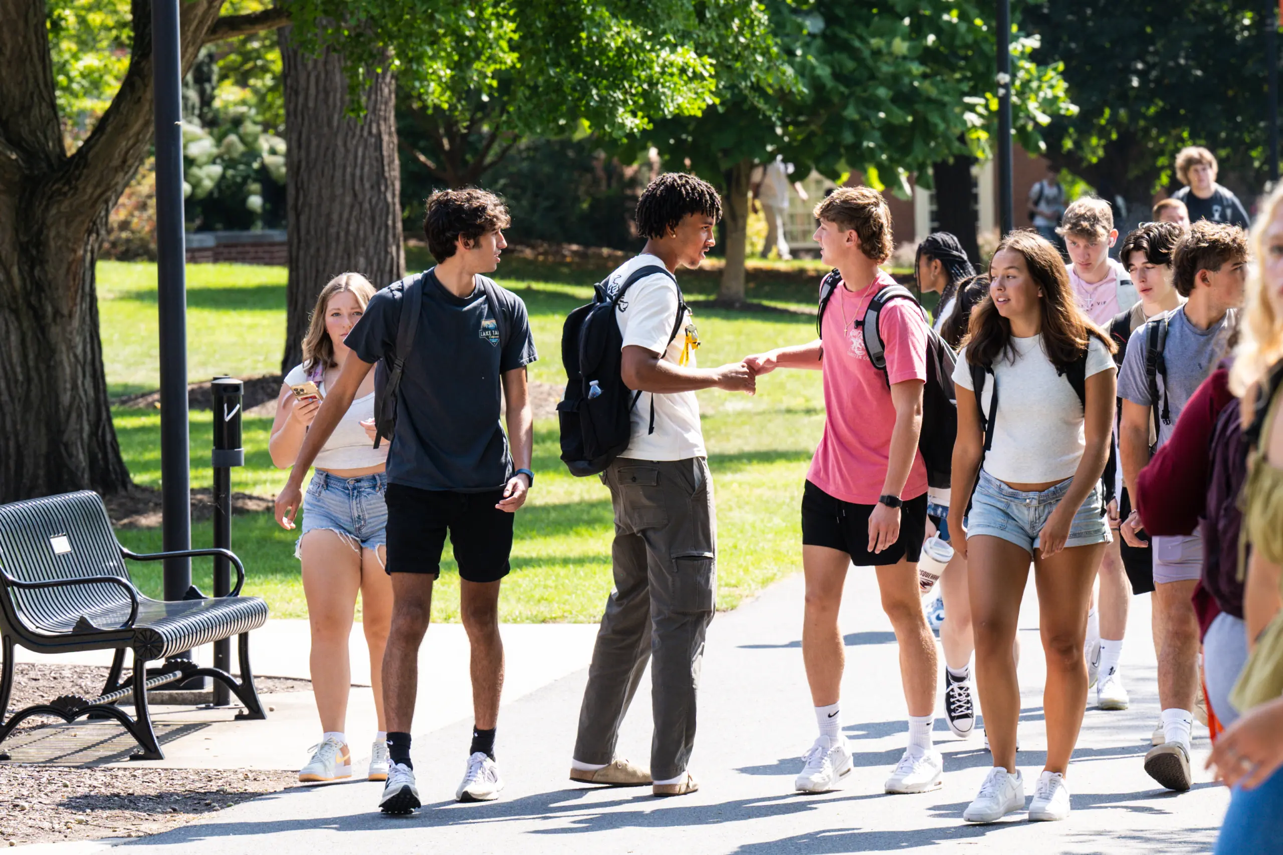 A group of casually dressed young adults walks along a tree-lined path on a sunny day. Some are carrying backpacks, and one pair is shaking hands, smiling. Benches and lampposts line the pathway.